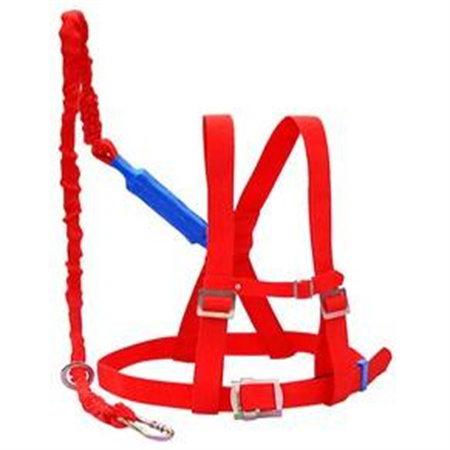 红色双背单绳缓冲带|红色双背单绳缓冲安全带|红色双背单绳带缓冲安全带
